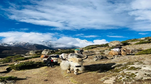 How Much Is Everest Base Camp Trek Insurance Cost?