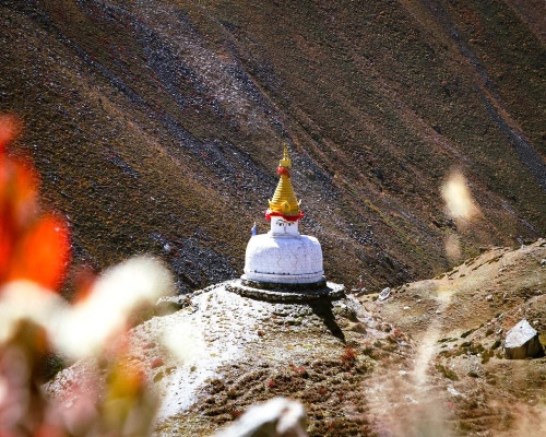  Days Budget Everest Base Camp Trekking Cost