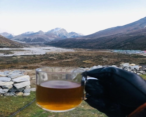  Days Budget Everest Base Camp Trekking Cost