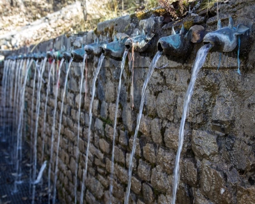  Muktinath Kailash Tour