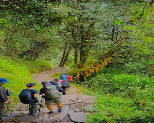 Annapurna Base Camp Days