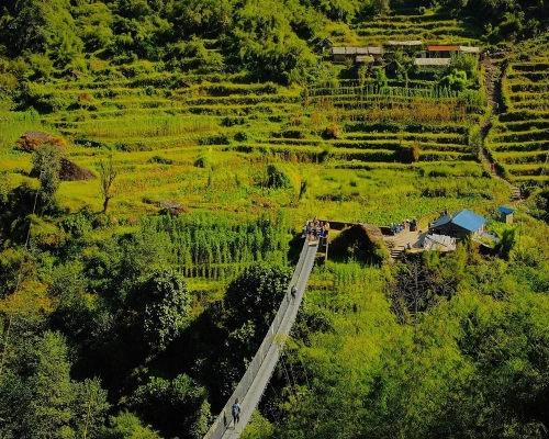 Annapurna Base Camp Days
