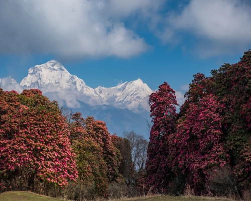 Annapurna Base Camp Trek Cost