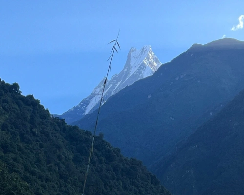 Annapurna Nature