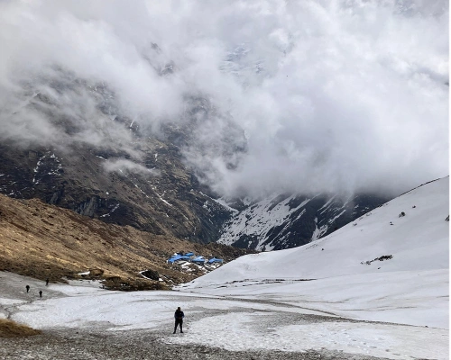 Annapurna Snow Trekking