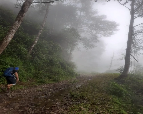 Chisapani Days Hike From Kathmandu