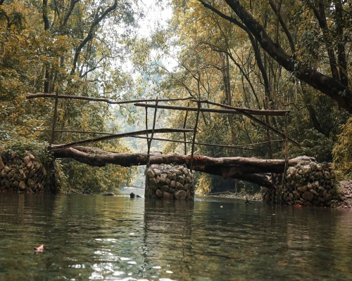 Chitwan Jungle Safari Tour Night Days