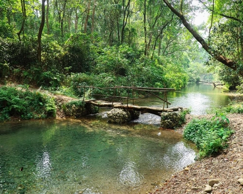 Chitwan Jungle Safari Tour Days