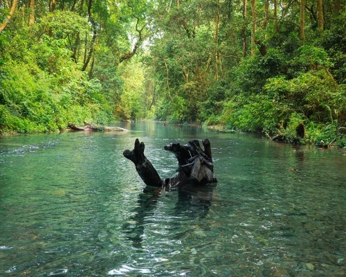 Chitwan Park Tour From Pokhara