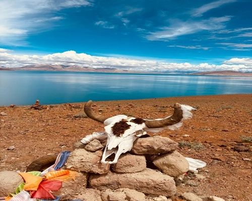 Holy Group Trip To Kailash