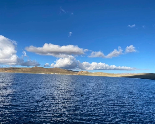 Mansarovar Lake Serene View