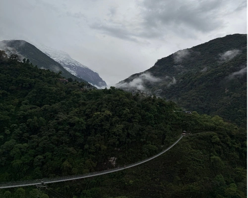 Rhododendron Forest Trek Path Abc