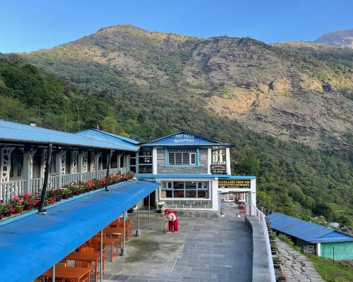 Scenic Mountain Views