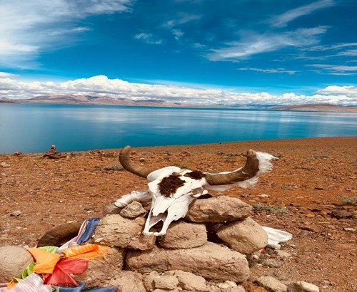 Group Joining Kailash Mansrovar Tour 10 Days